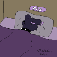50037