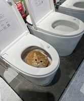 5766