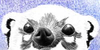 1123672