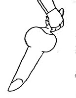 1116258