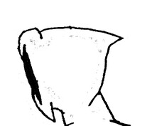 1116263