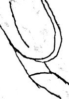 1116380