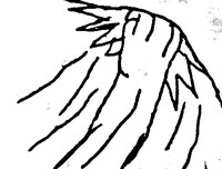 1116764