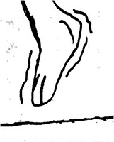 1116847