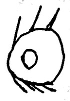 1117385